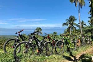 What to Look for When Buying a Used Mountain Bike