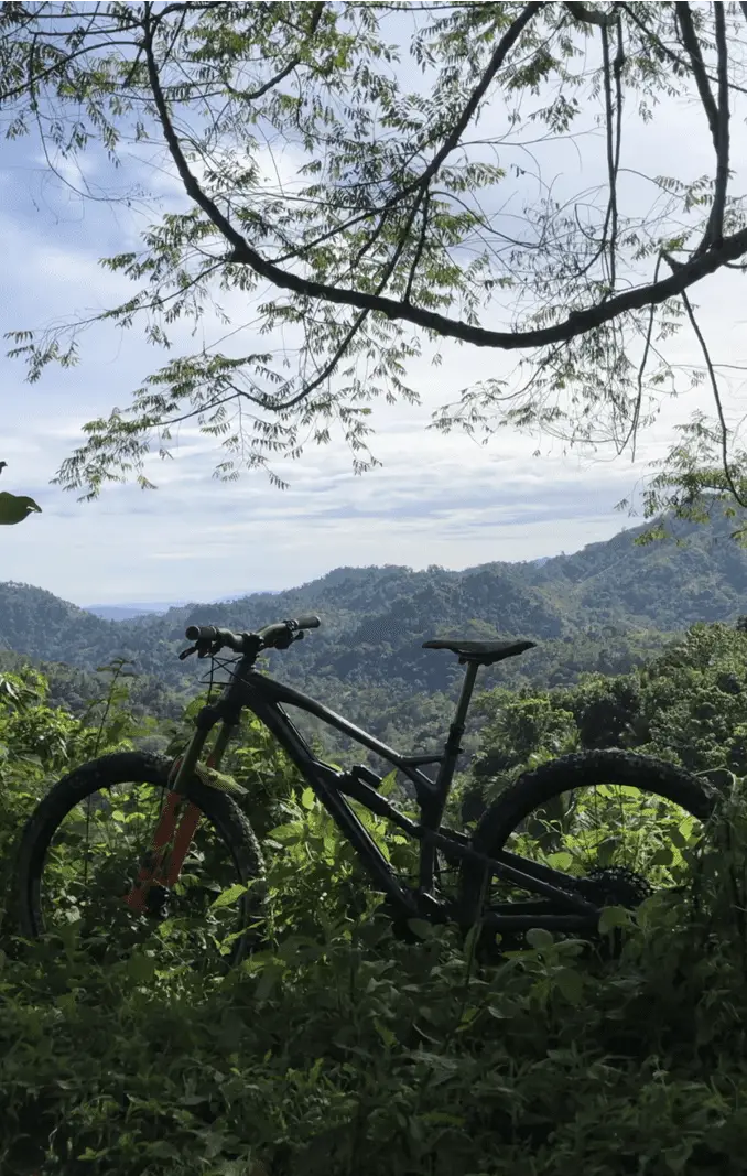 mountain bike for heavy person